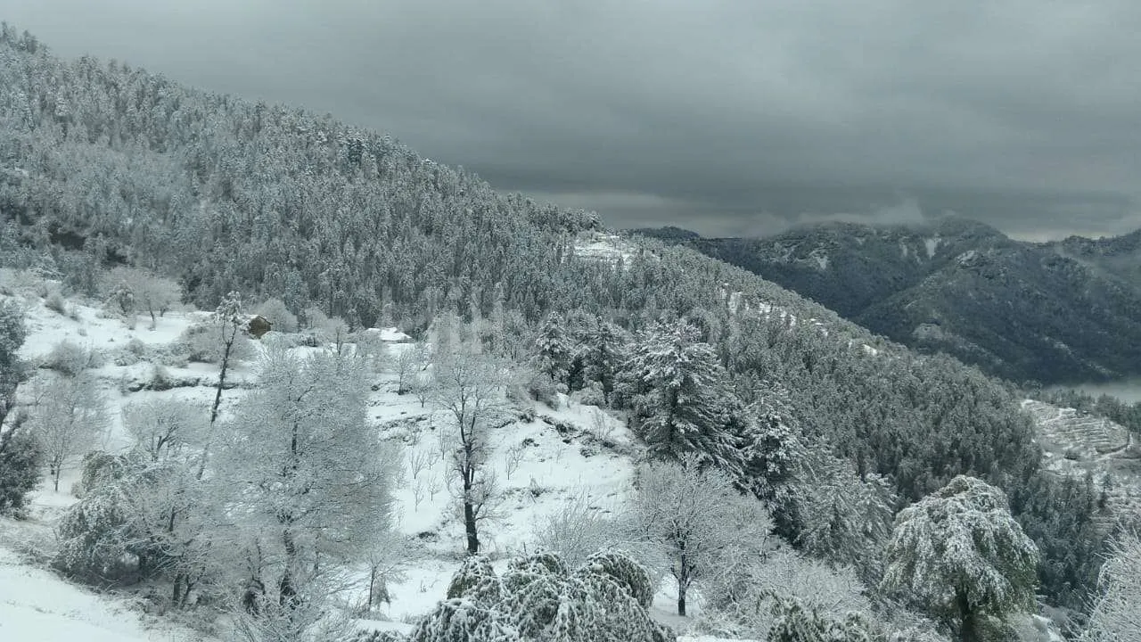 4,500 sq. ft. 8 BHK Villa near Carignano in Dhagogi, Mashobra