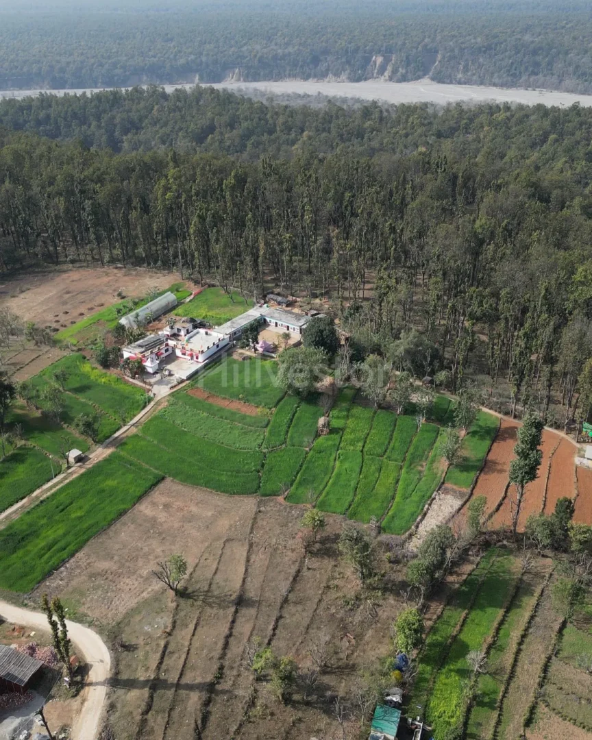 4,340 sq. yd. Residential Land near Aoni Bend in Aoni, Narendra Nagar