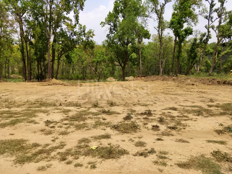 100 sq. yd. Residential Plot in Eco Village, Pustari, Dehradun
