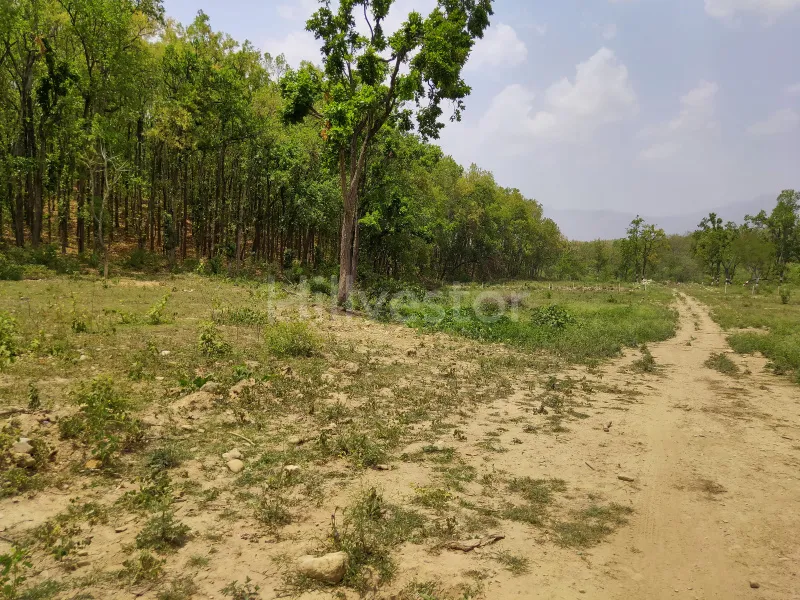 100 sq. yd. Residential Plot in Eco Village, Pustari, Dehradun