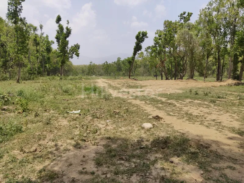 100 sq. yd. Residential Plot in Eco Village, Pustari, Dehradun