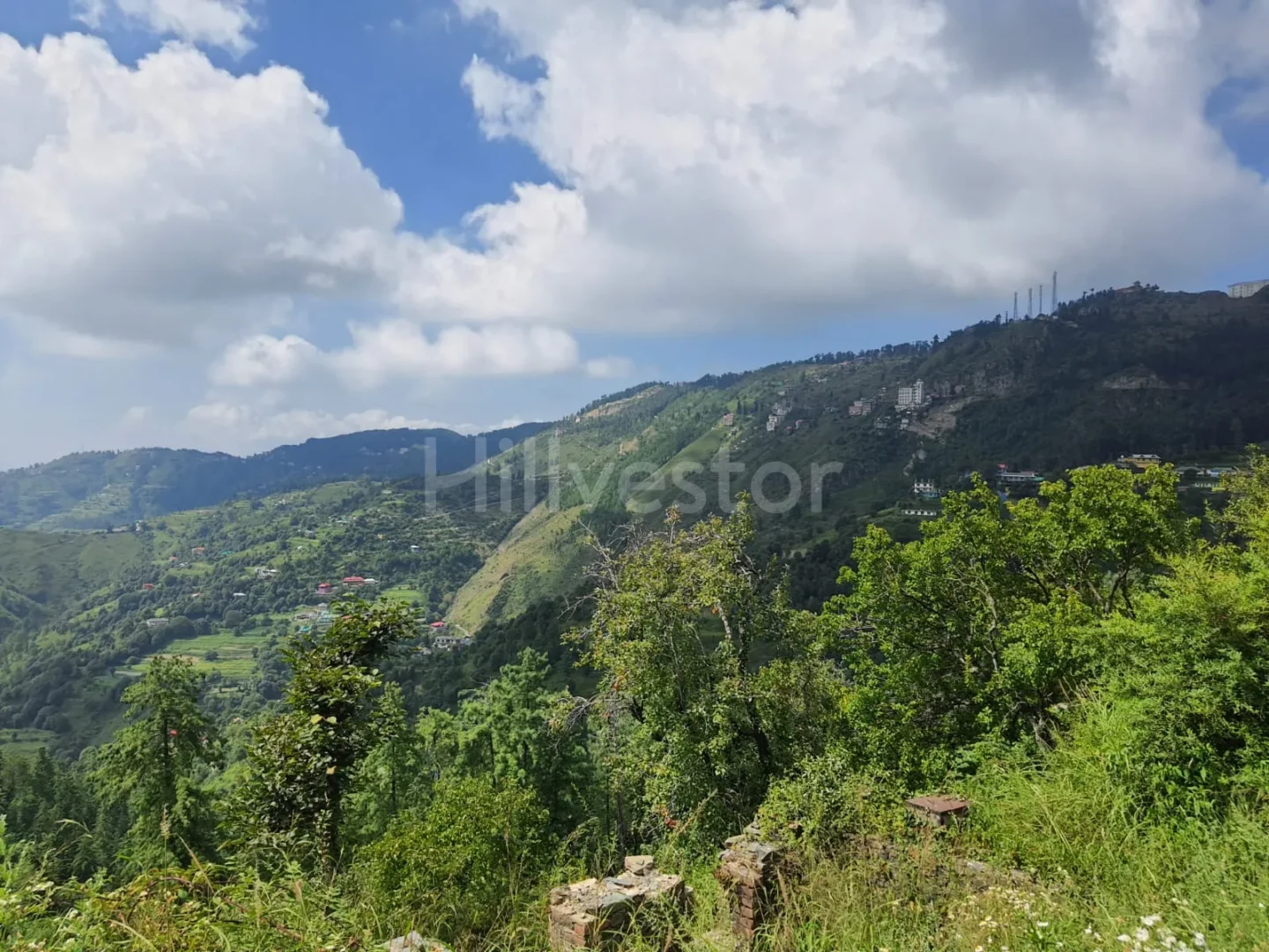 19,360 sq. yd. Commercial Land near Baldeyan in Mashobra
