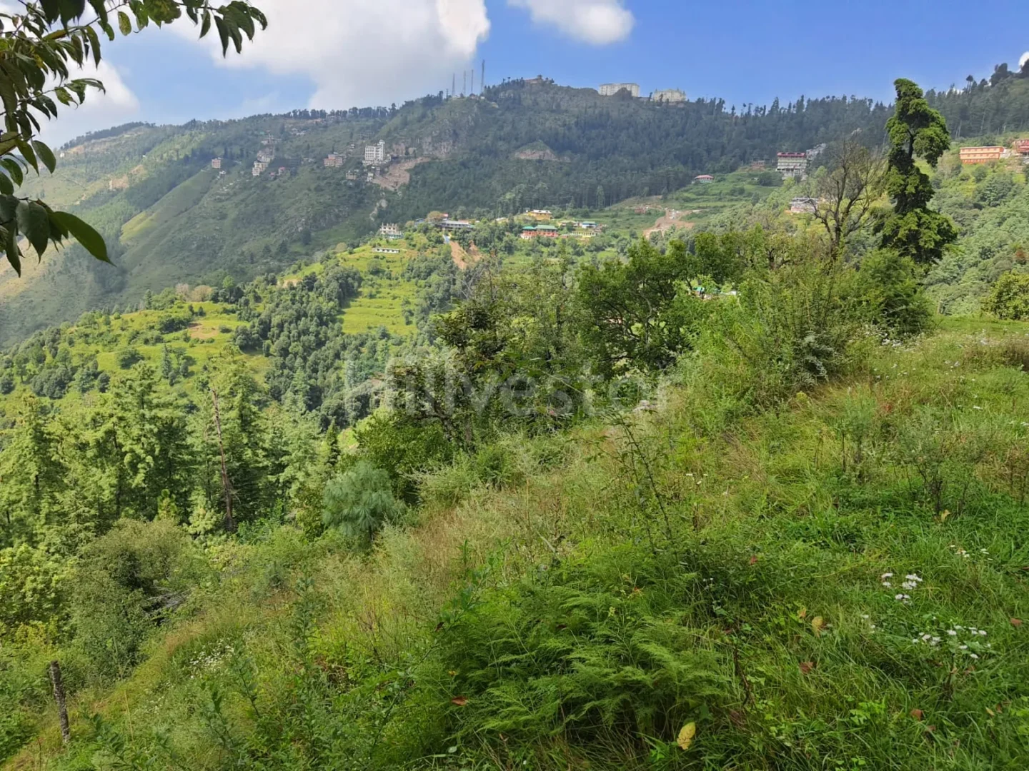19,360 sq. yd. Commercial Land near Baldeyan in Mashobra