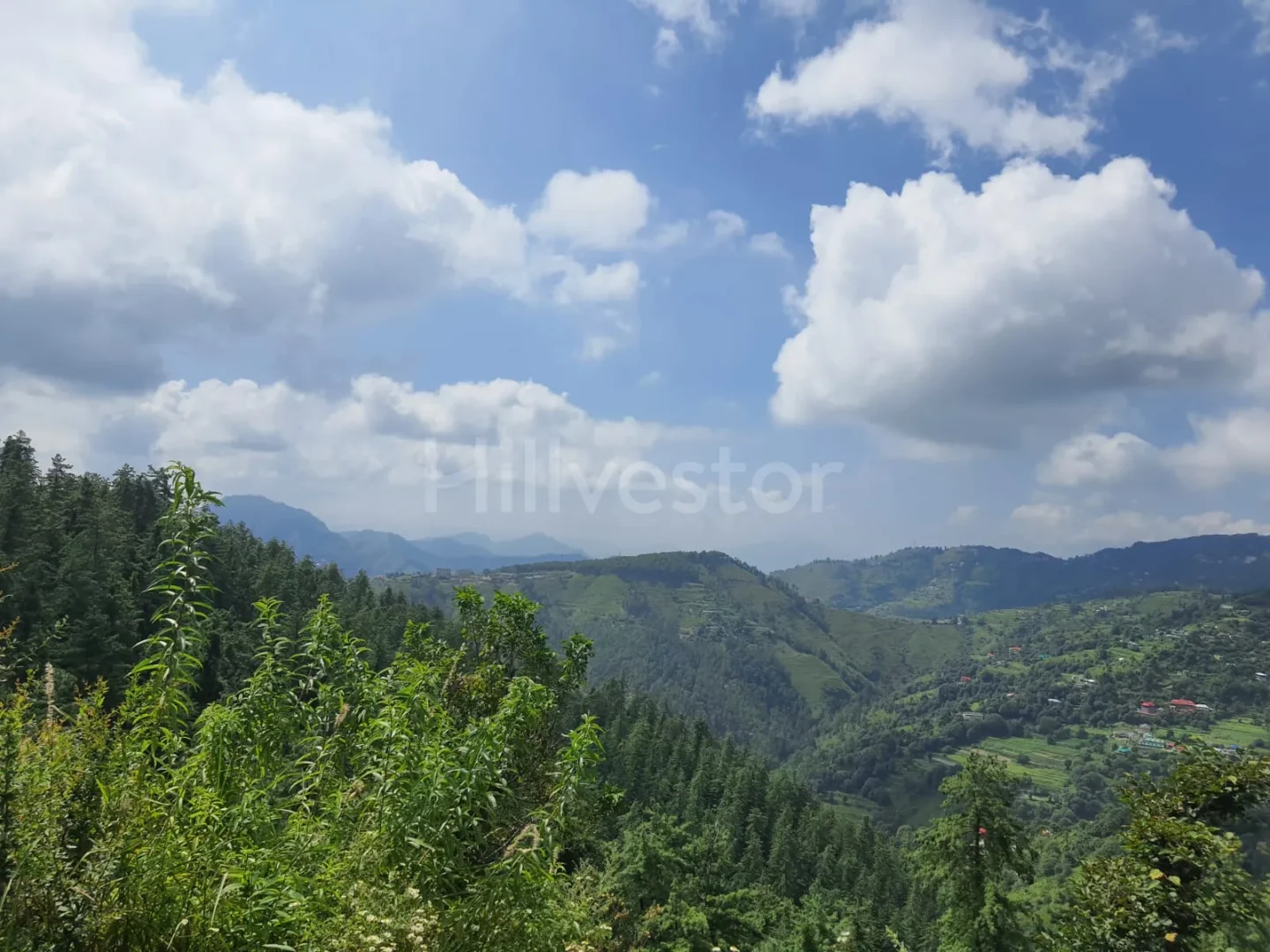 19,360 sq. yd. Commercial Land near Baldeyan in Mashobra