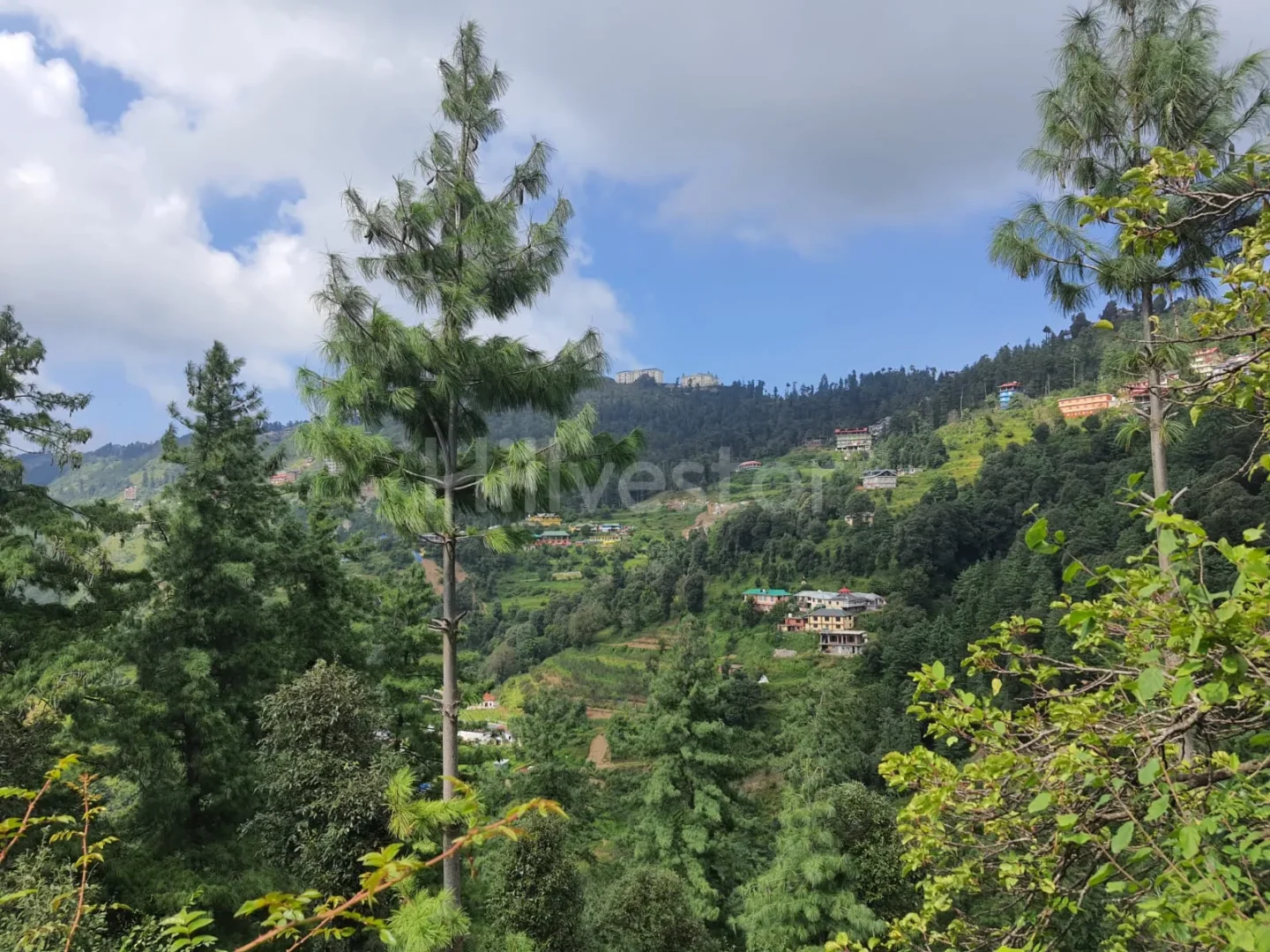 19,360 sq. yd. Commercial Land near Baldeyan in Mashobra