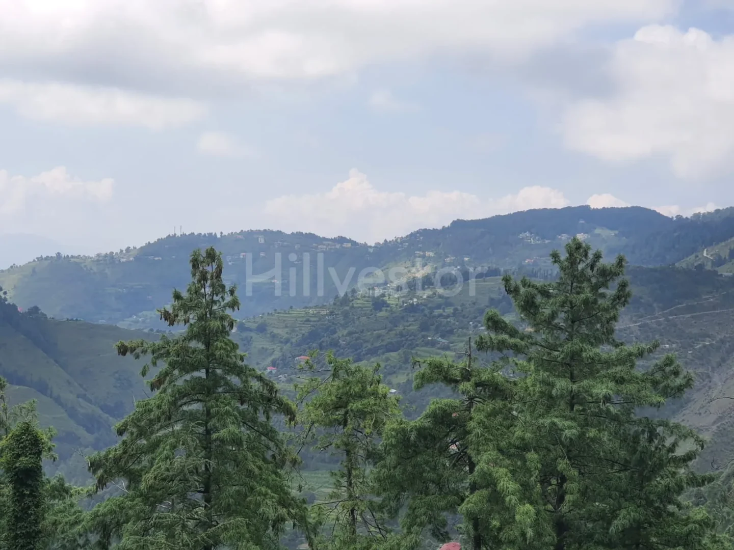 19,360 sq. yd. Commercial Land near Baldeyan in Mashobra