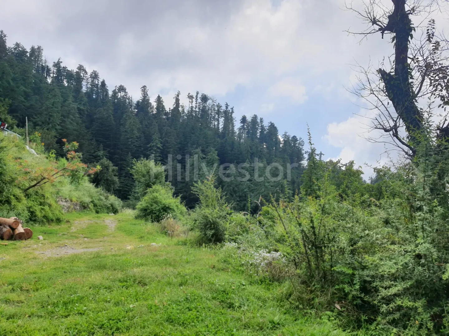 19,360 sq. yd. Commercial Land near Baldeyan in Mashobra