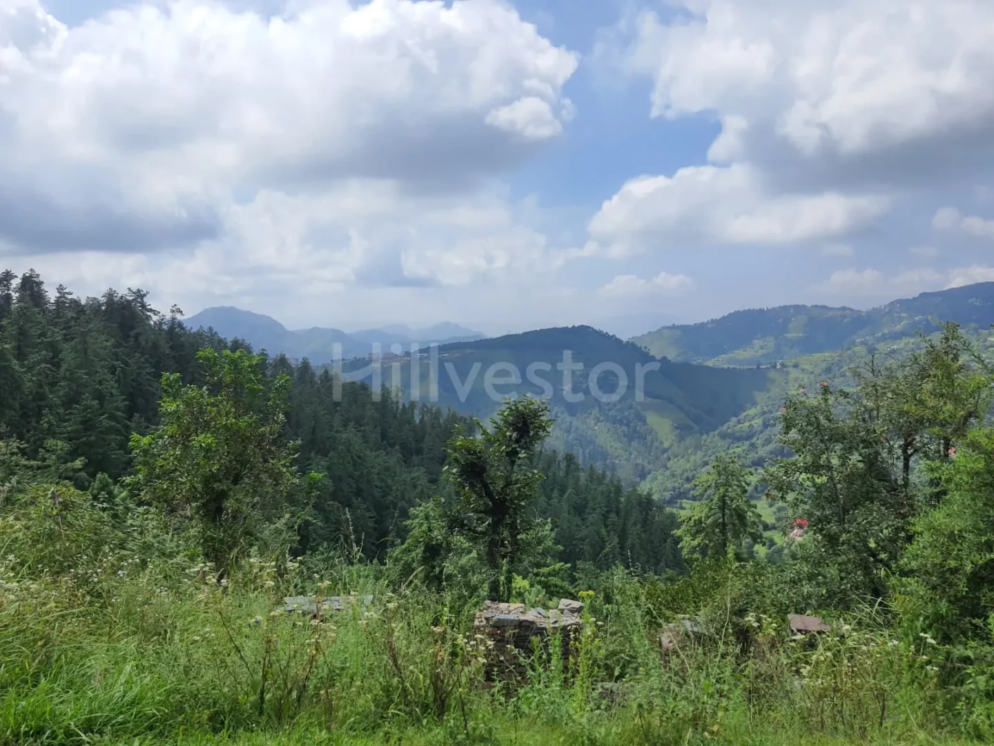 19,360 sq. yd. Commercial Land near Baldeyan in Mashobra