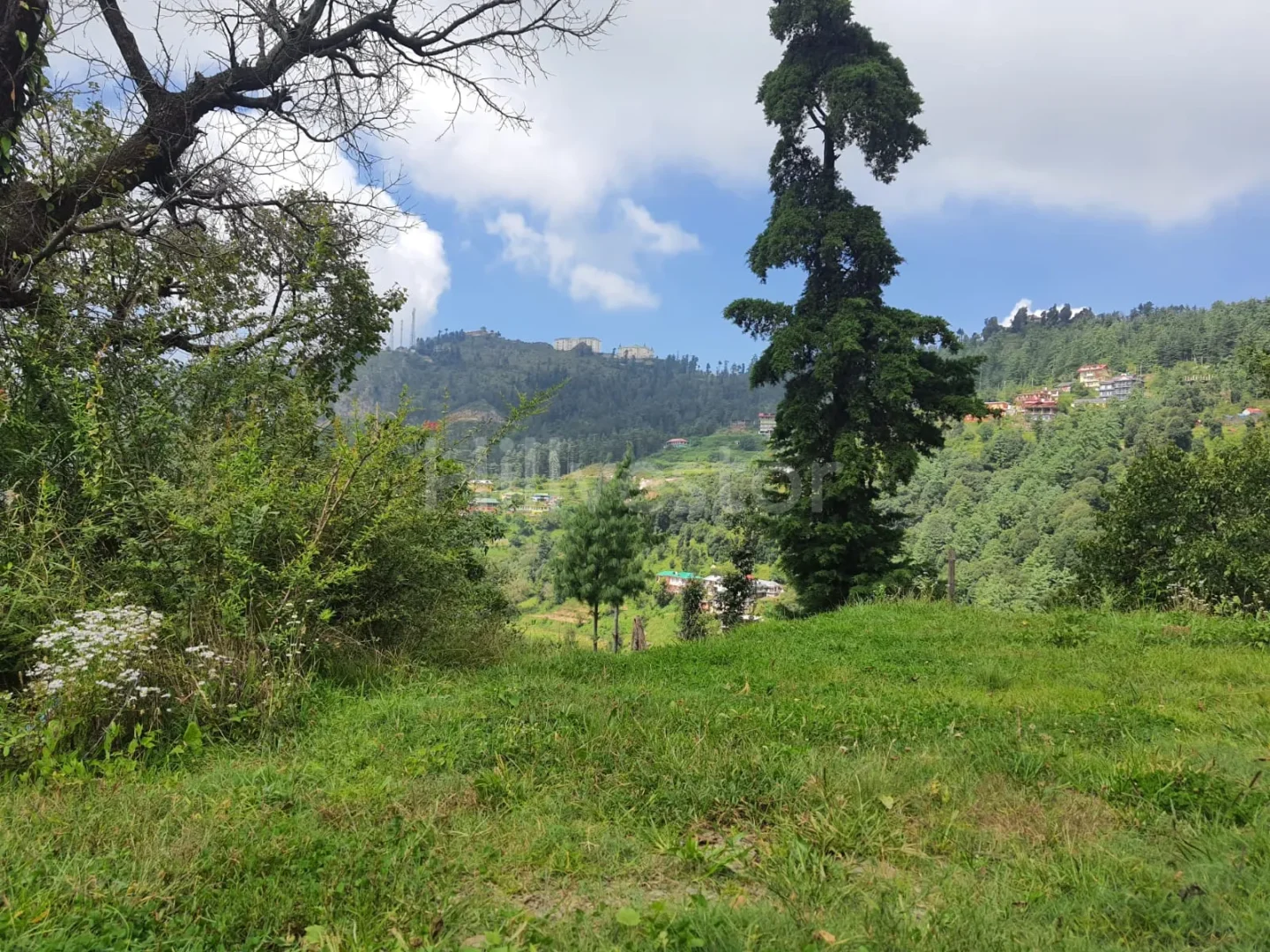 19,360 sq. yd. Commercial Land near Baldeyan in Mashobra