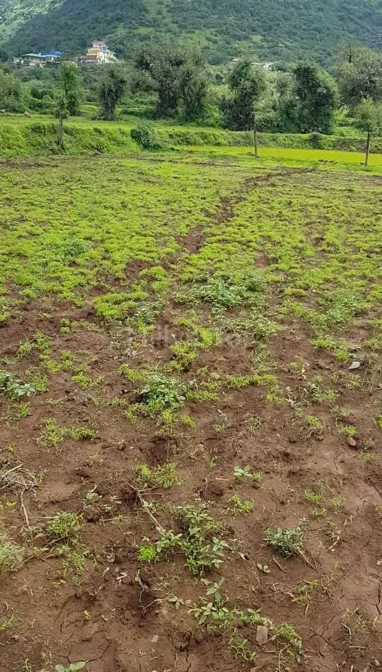 725 sq. yd. Residential Plot near Tapola Road, Tapola, Mahabaleshwar