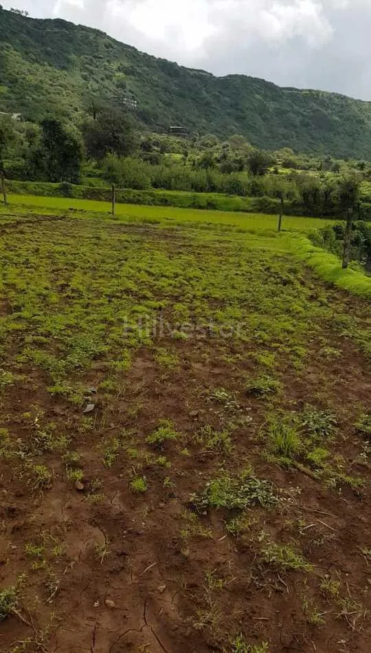 725 sq. yd. Residential Plot near Tapola Road, Tapola, Mahabaleshwar