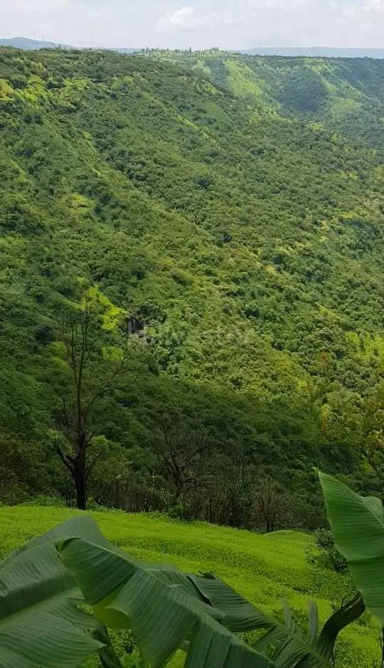 725 sq. yd. Residential Plot near Tapola Road, Tapola, Mahabaleshwar