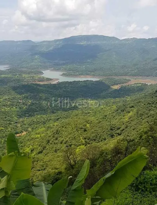 725 sq. yd. Residential Plot near Tapola Road, Tapola, Mahabaleshwar