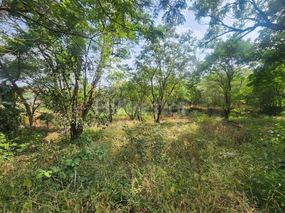 2,650 sq. yd. Residential Land on Old Khandala Road, Khandala