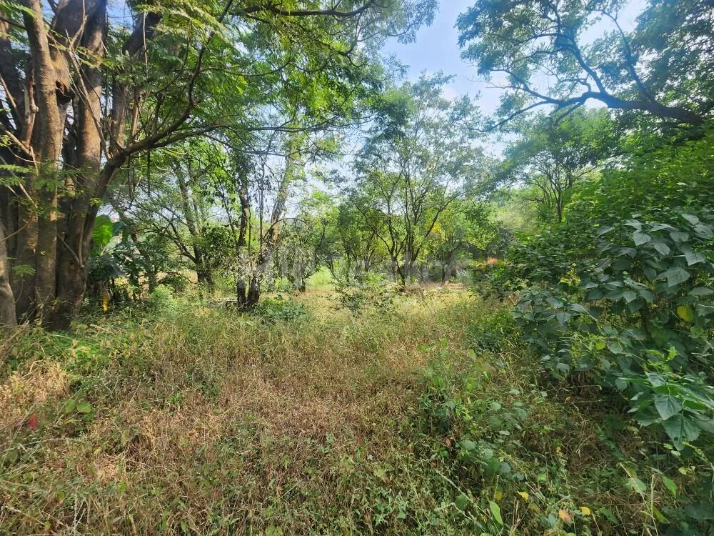 2,650 sq. yd. Residential Land on Old Khandala Road, Khandala