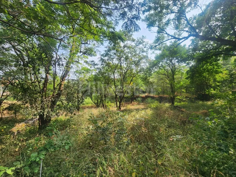 2,650 sq. yd. Residential Land on Old Khandala Road, Khandala