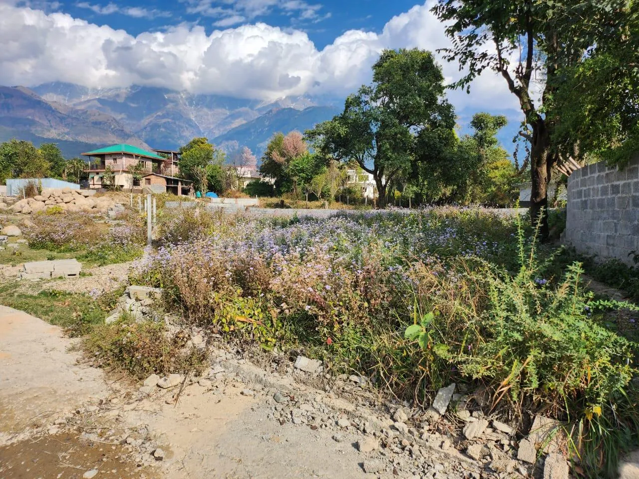 550 sq. yd. Residential Plot near Dharamshala Road in Dari, Dharamshala