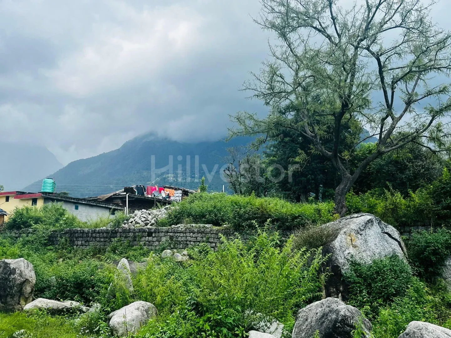 600 sq. yd. Residential Plot in Rakkar, Dharamshala
