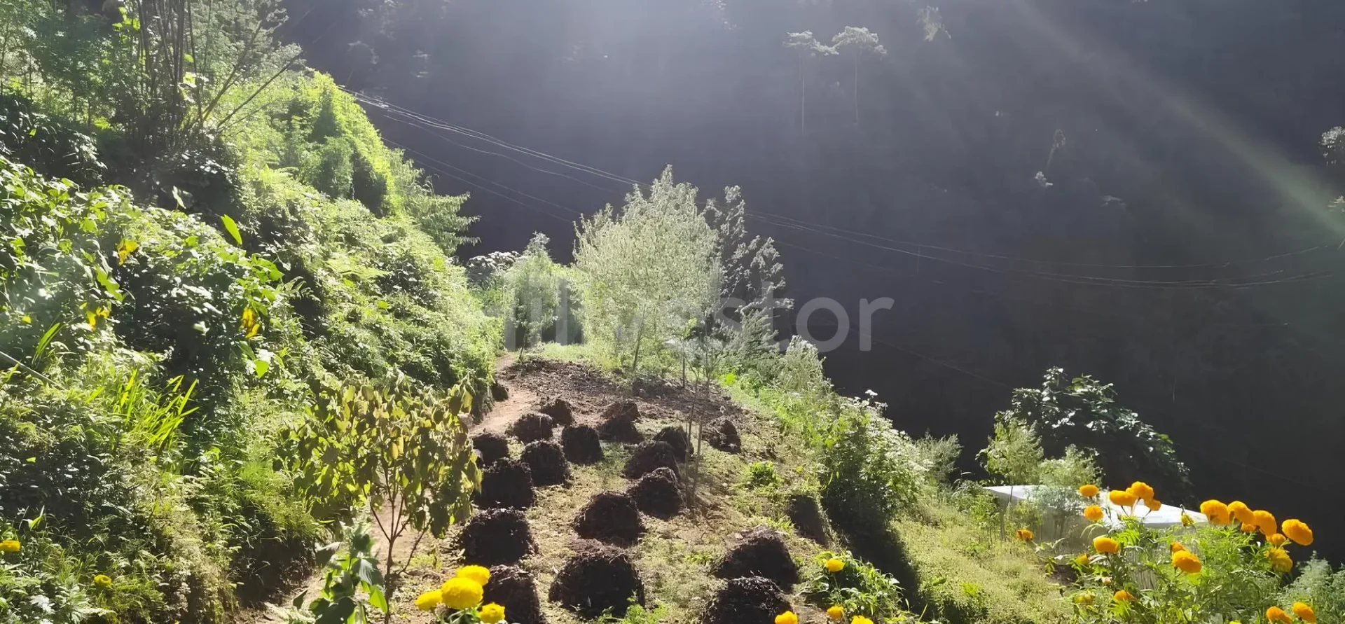 576 sq. yd. Residential Plot near Hill Cart Road in Lower Rajbari, Darjeeling