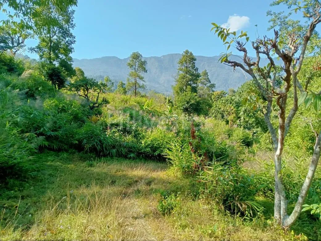 485 sq. yd. Residential Plot near Ahaldara View Point, Sittong, Kurseong