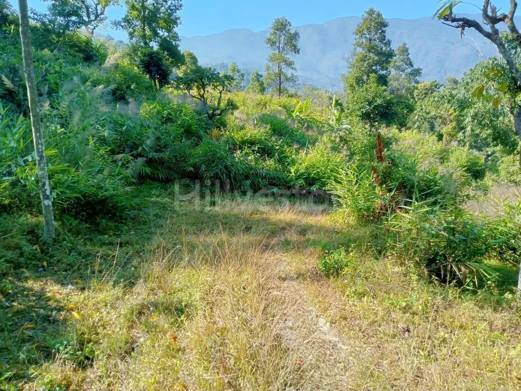 485 sq. yd. Residential Plot near Ahaldara View Point, Sittong, Kurseong