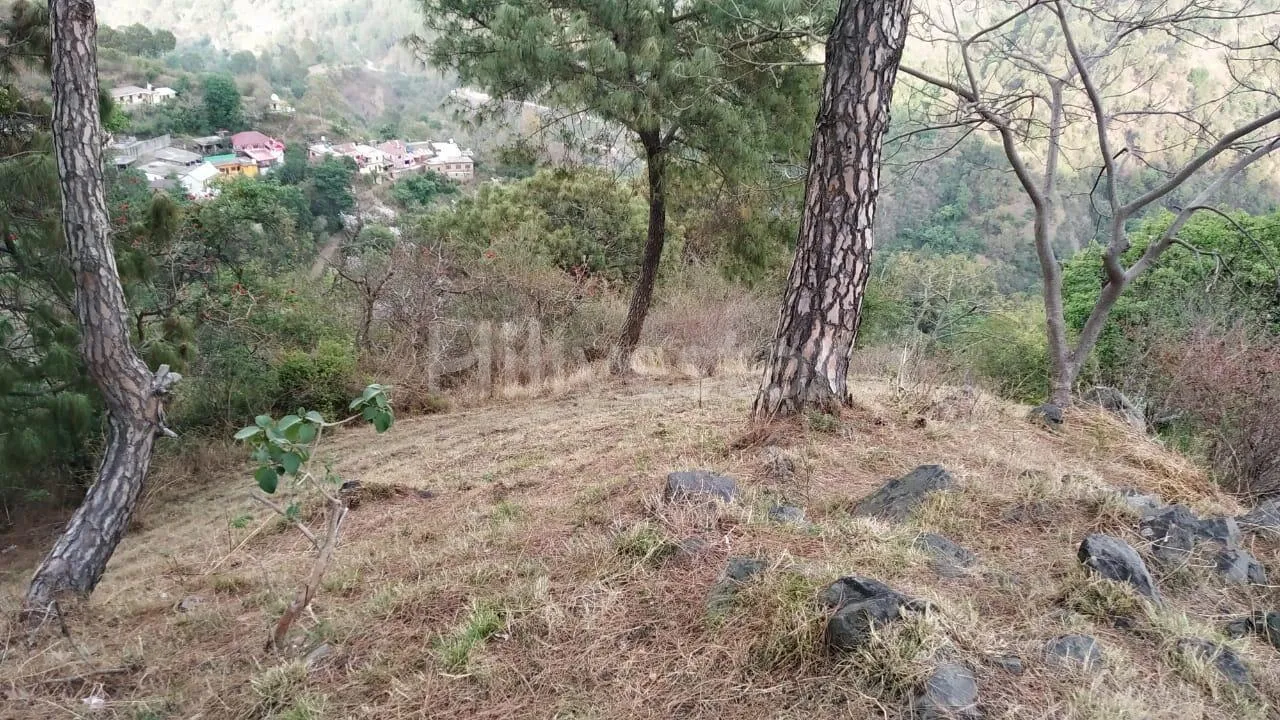 6,050 sq. yd. Residential Land near Shaktighat, Kasauli