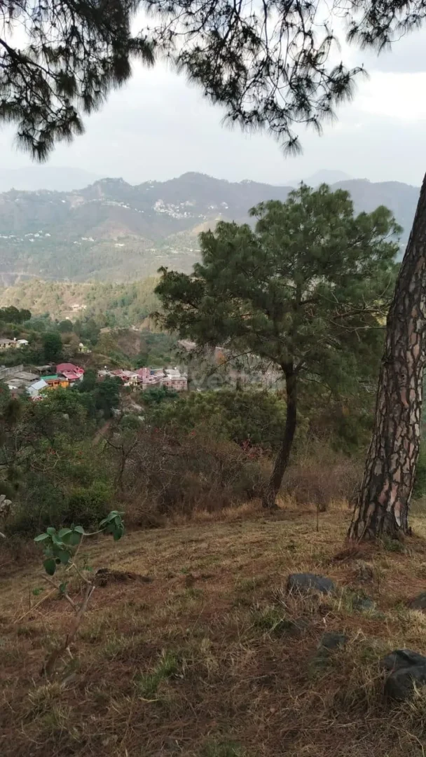 6,050 sq. yd. Residential Land near Shaktighat, Kasauli