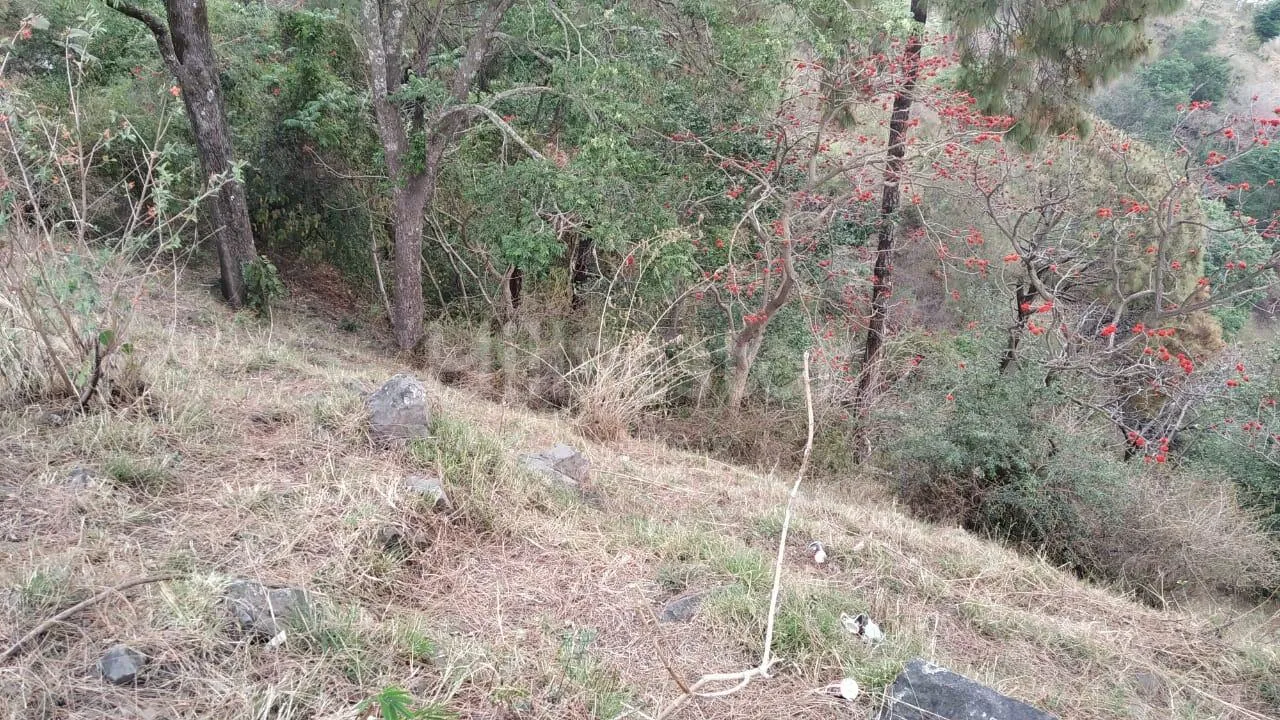 6,050 sq. yd. Residential Land near Shaktighat, Kasauli