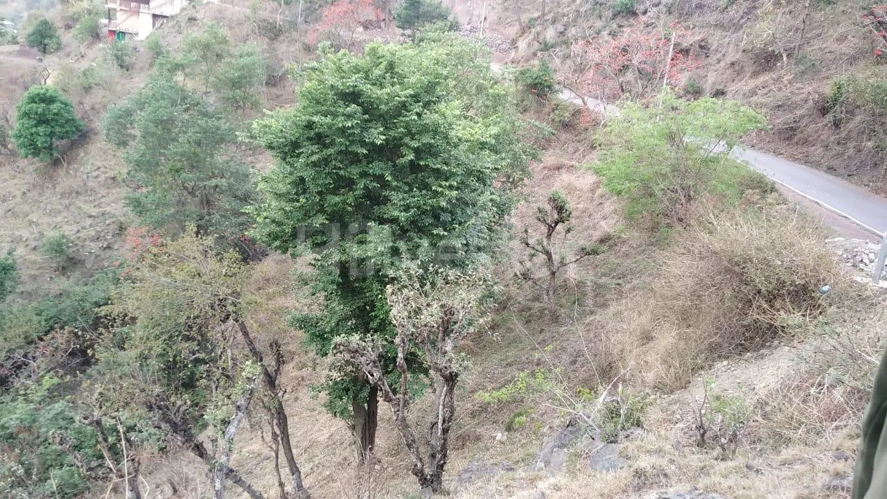 6,050 sq. yd. Residential Land near Shaktighat, Kasauli