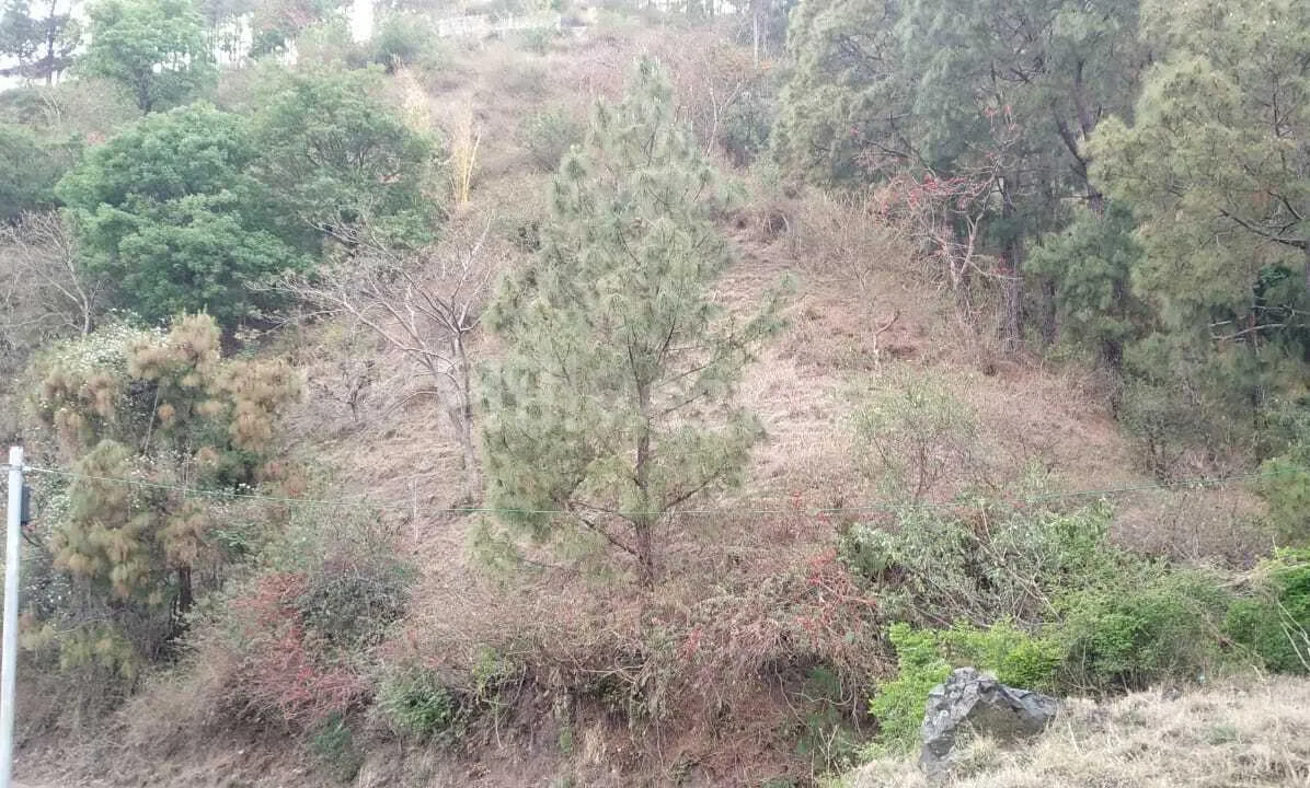 6,050 sq. yd. Residential Land near Shaktighat, Kasauli