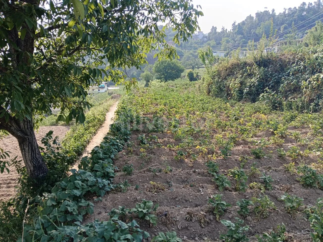 960 sq. yd. Residential Land near Dhanachuli Bend in Dhanachuli