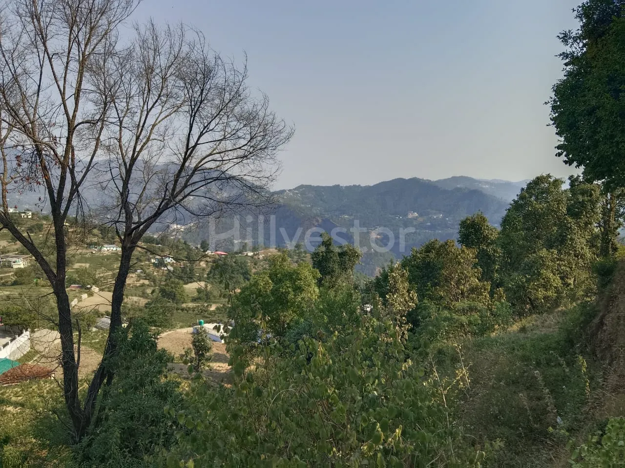 960 sq. yd. Residential Land near Dhanachuli Bend in Dhanachuli