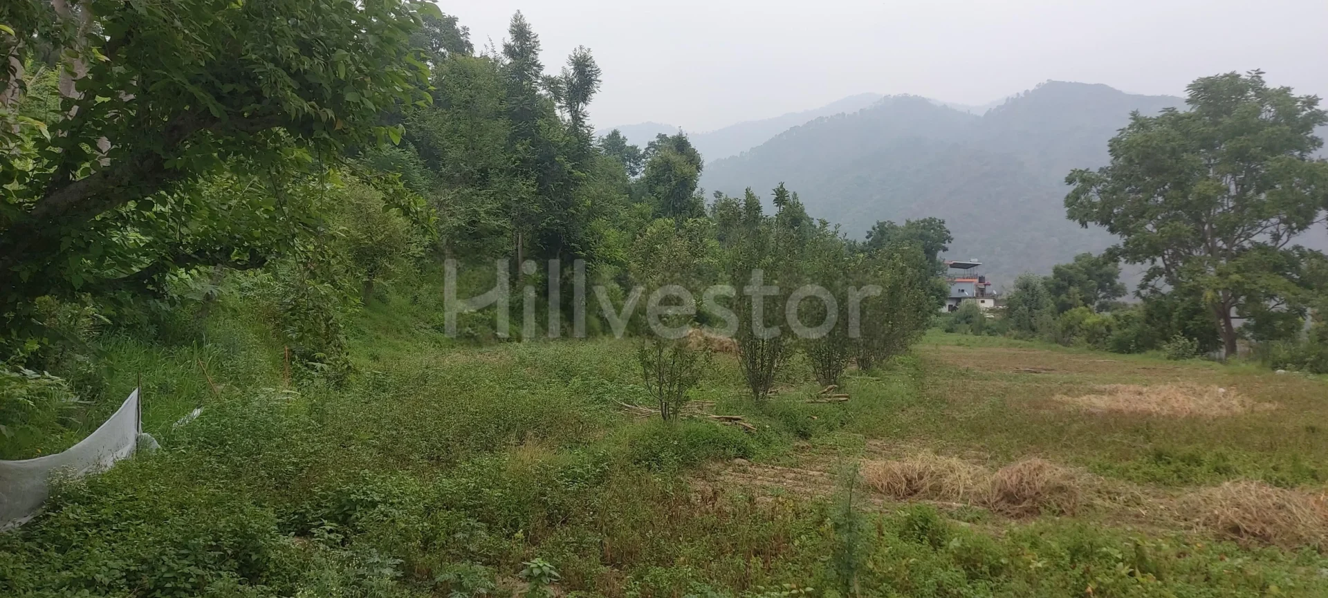 518 sq. yd. Residential Plot in near Khalini Chowk in Lower Khalini, Shimla