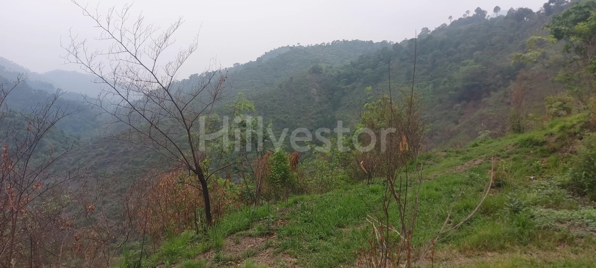518 sq. yd. Residential Plot in near Khalini Chowk in Lower Khalini, Shimla