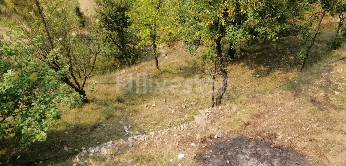 840 sq. yd. Residential Land near Bhalugaad Waterfall in Kasiyalekh, Mukteshwar