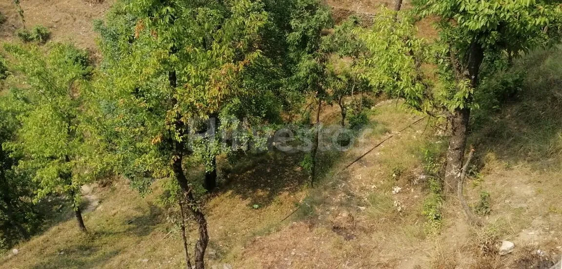 840 sq. yd. Residential Land near Bhalugaad Waterfall in Kasiyalekh, Mukteshwar