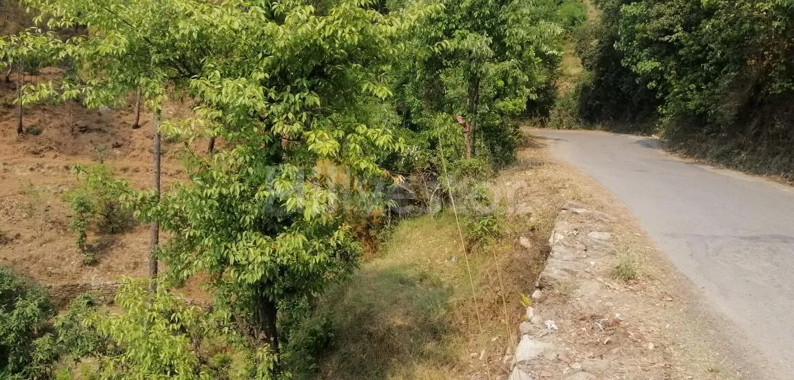 840 sq. yd. Residential Land near Bhalugaad Waterfall in Kasiyalekh, Mukteshwar
