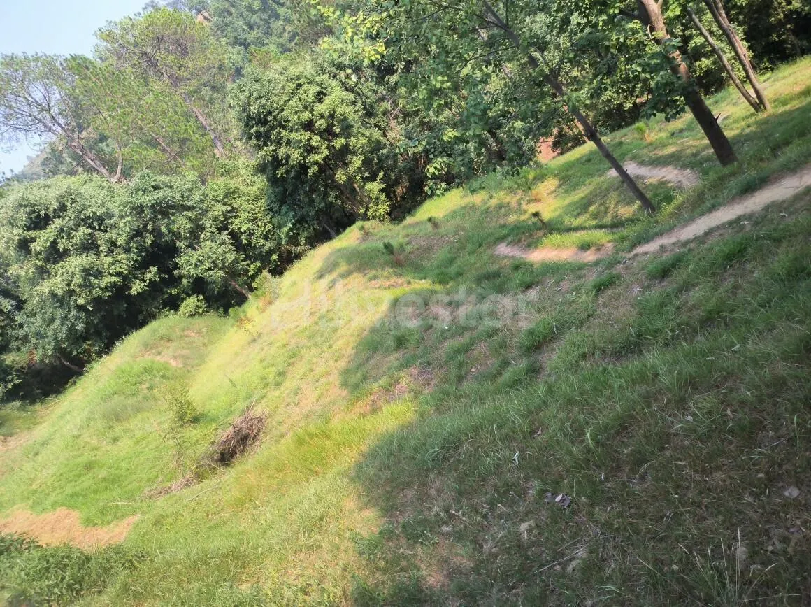 1,200 sq. yd. Residential Land near Kasiyalekh in Chaukhuta, Mukteshwar