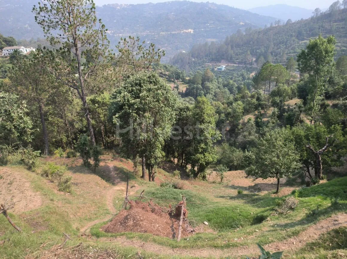 1,200 sq. yd. Residential Land near Kasiyalekh in Chaukhuta, Mukteshwar