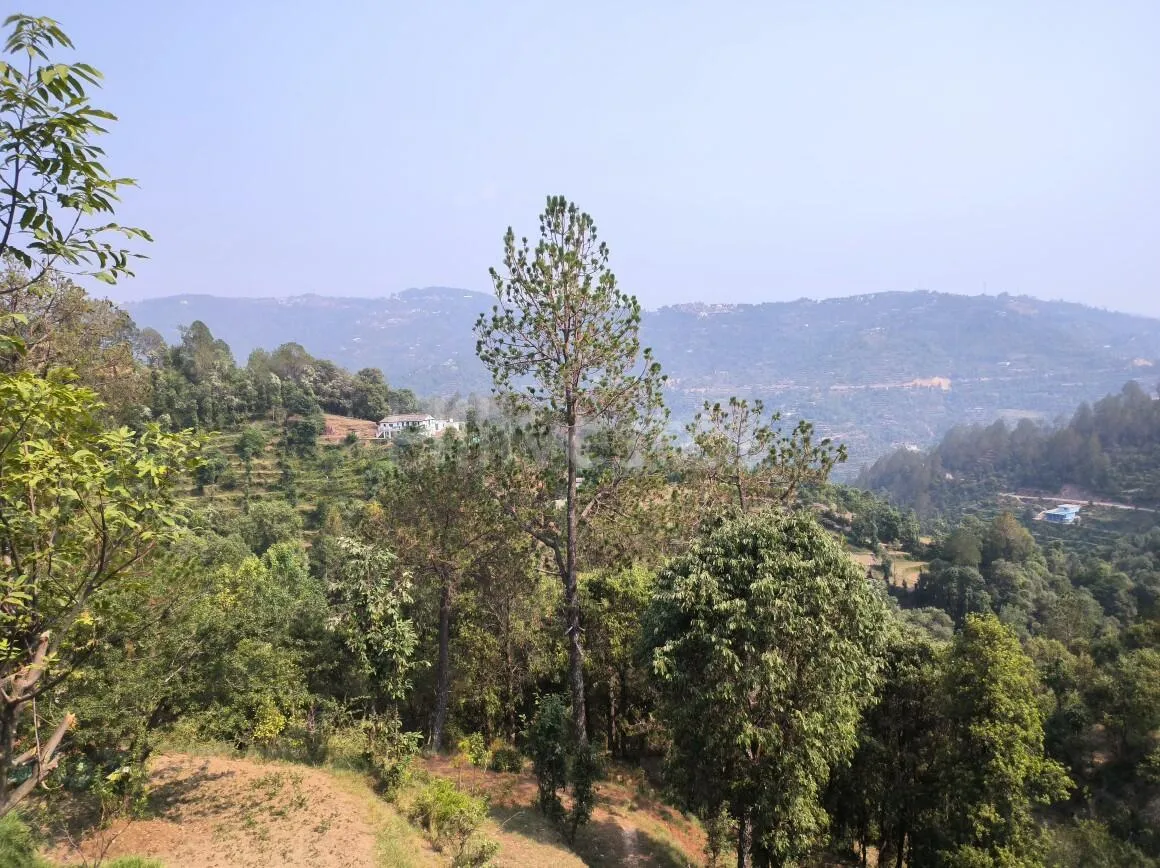 1,200 sq. yd. Residential Land near Kasiyalekh in Chaukhuta, Mukteshwar