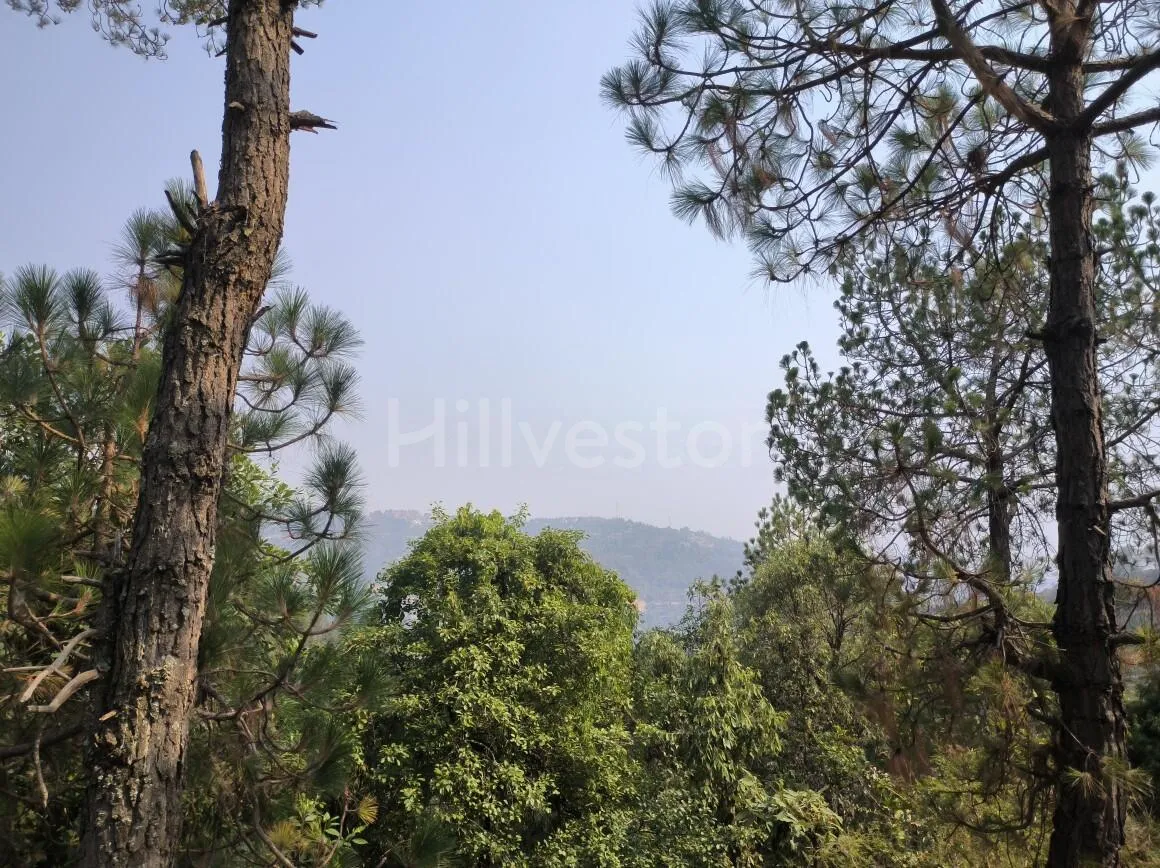 1,200 sq. yd. Residential Land near Kasiyalekh in Chaukhuta, Mukteshwar