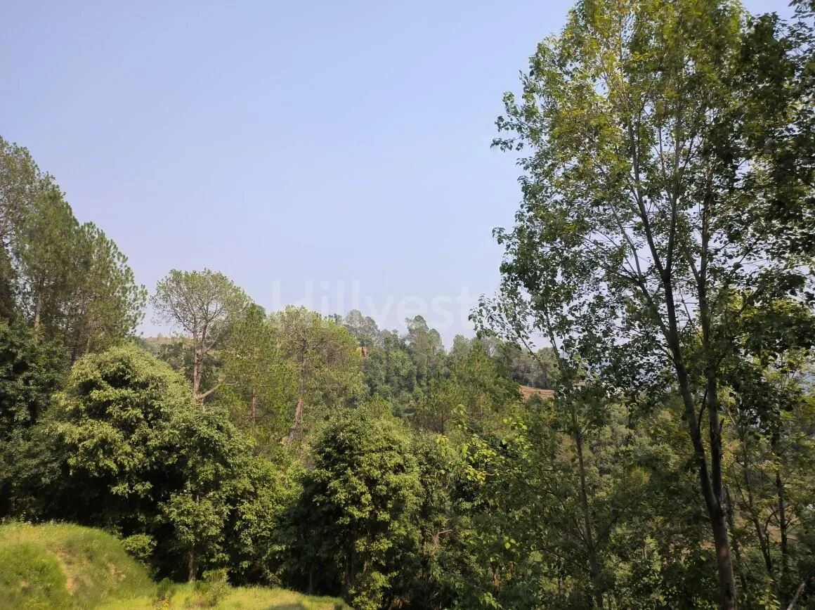 1,200 sq. yd. Residential Land near Kasiyalekh in Chaukhuta, Mukteshwar