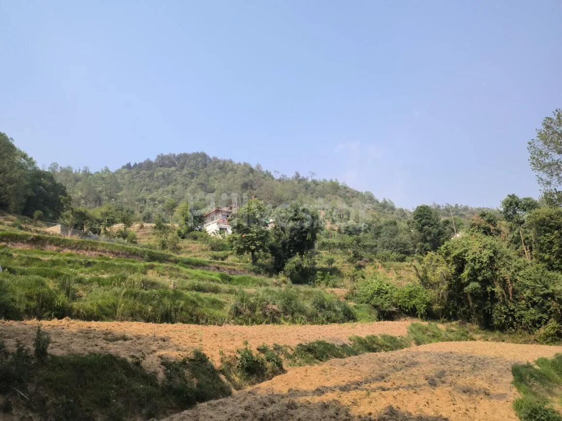 1,200 sq. yd. Residential Land near Kasiyalekh in Chaukhuta, Mukteshwar