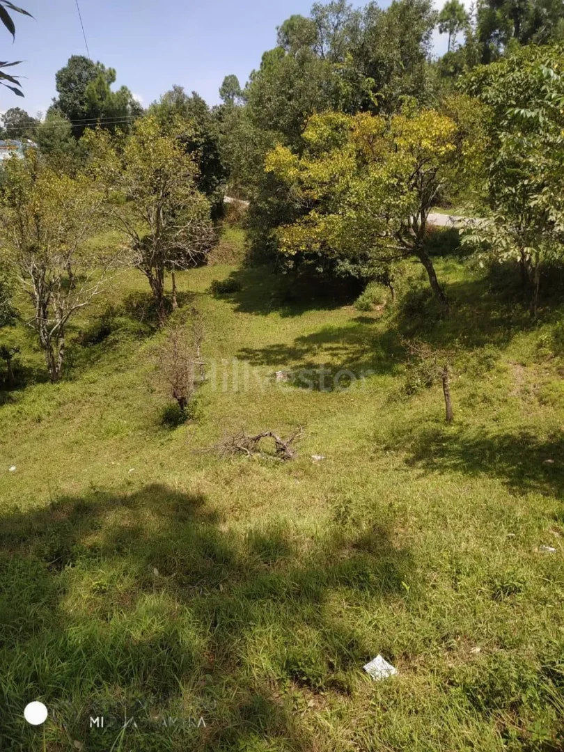 240 sq. yd. Residential Plot near Shitlakhet in Deolikhan, Almora
