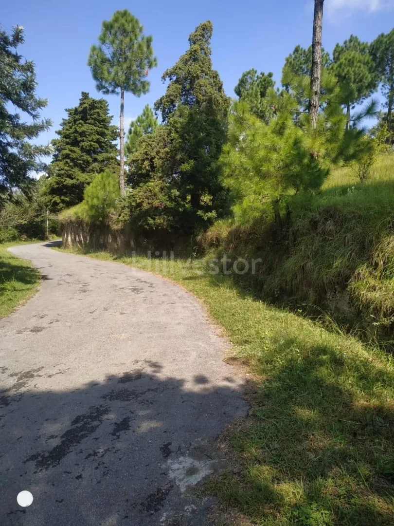 240 sq. yd. Residential Plot near Shitlakhet in Deolikhan, Almora