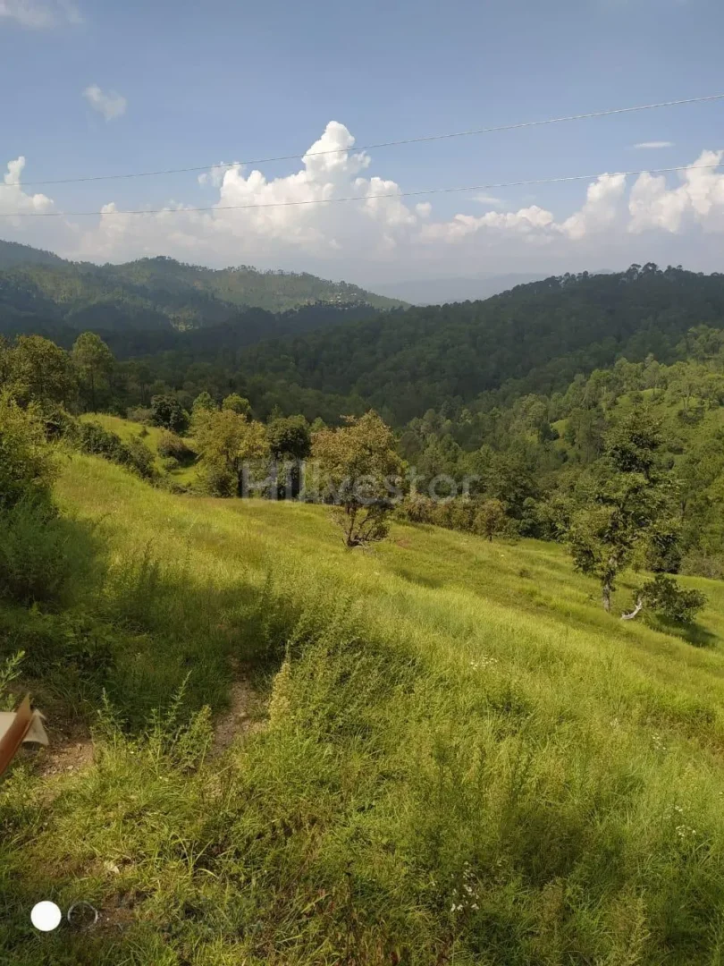 240 sq. yd. Residential Plot near Shitlakhet in Deolikhan, Almora