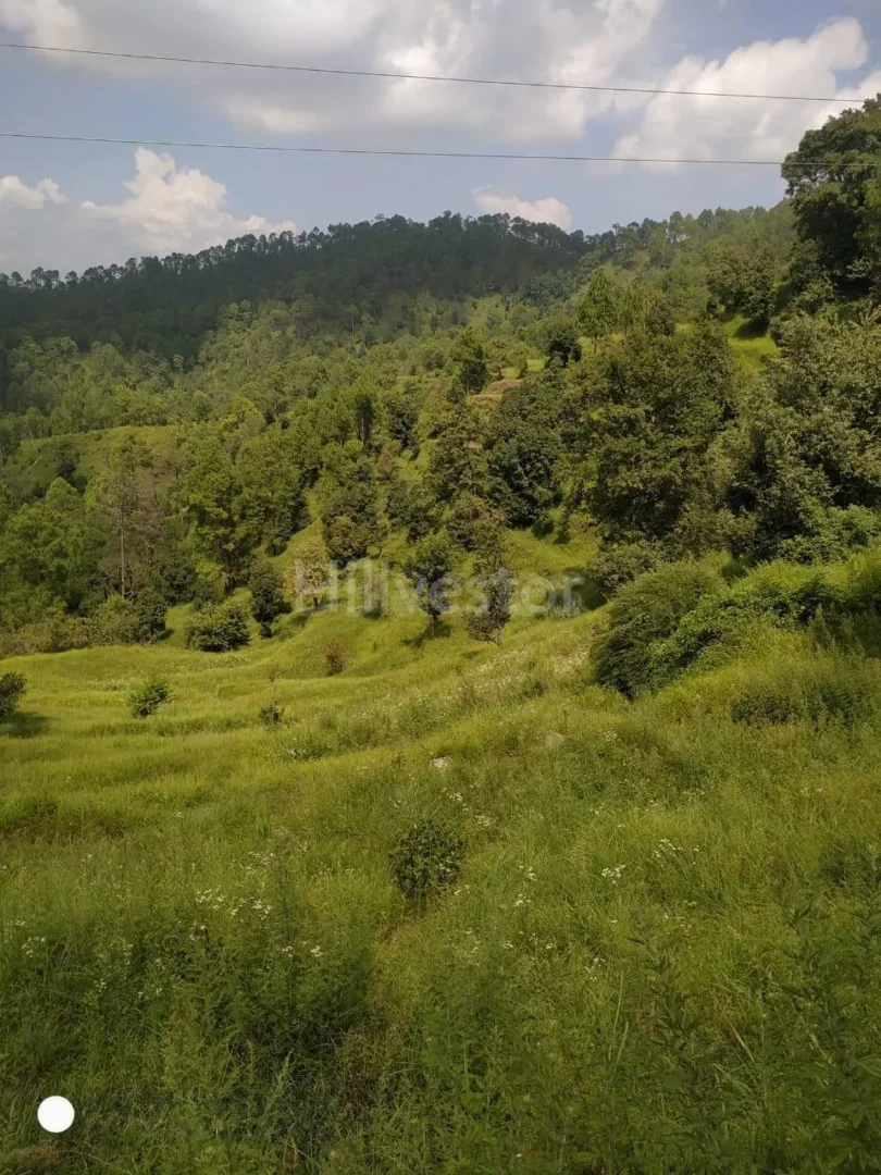 240 sq. yd. Residential Plot near Shitlakhet in Deolikhan, Almora