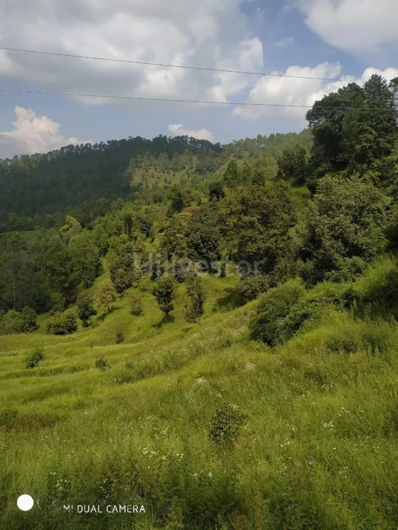 240 sq. yd. Residential Plot near Shitlakhet in Deolikhan, Almora