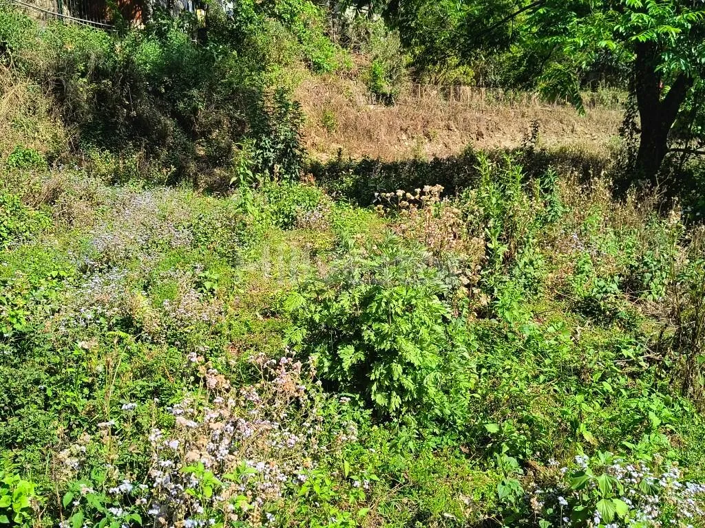 480 sq. yd. Residential Plot adjacent to Bhimtal Lake in Bhimtal