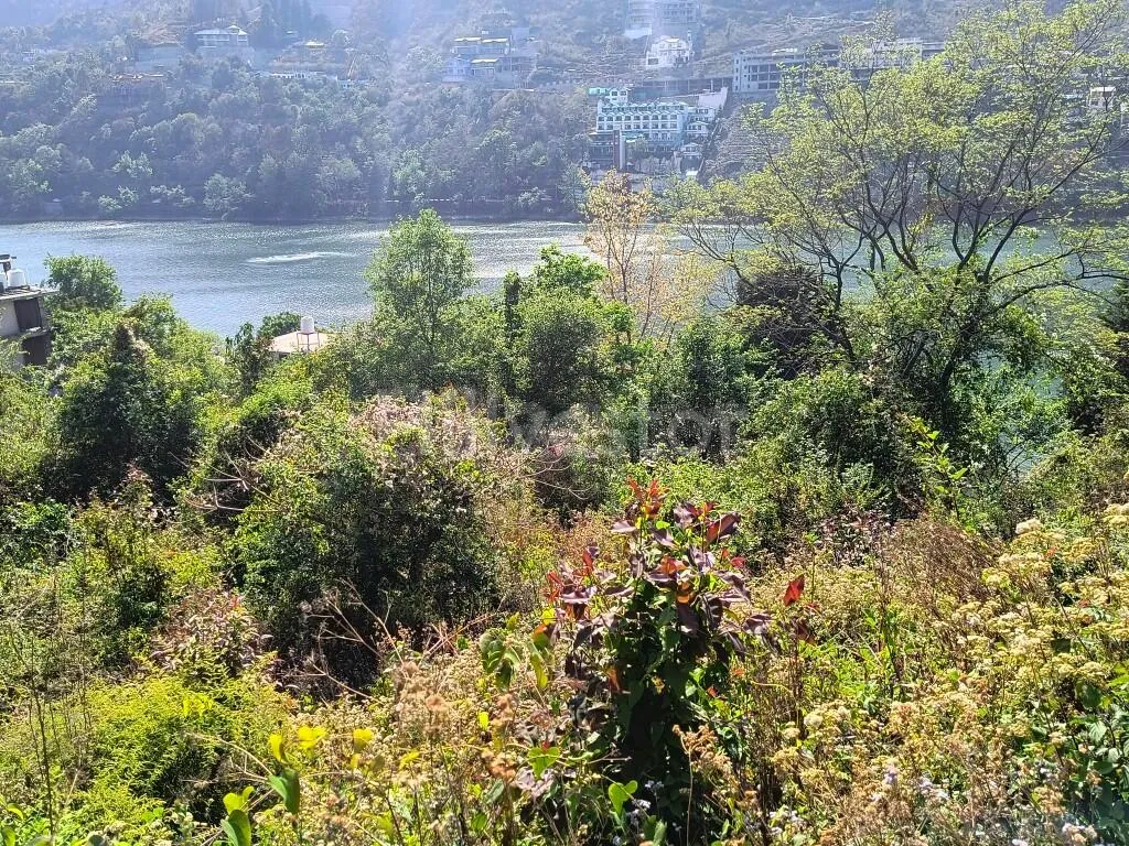 480 sq. yd. Residential Plot adjacent to Bhimtal Lake in Bhimtal
